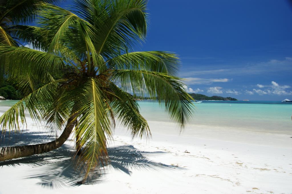 Insel Praslin Seychellen Strand