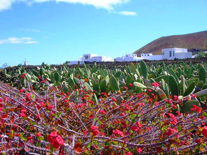 Landschaft Lanzarote
