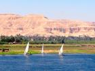 Faluke Nil
