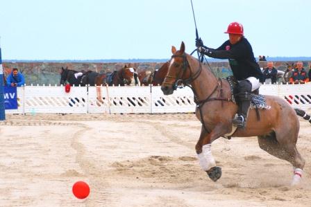 Beach Polo