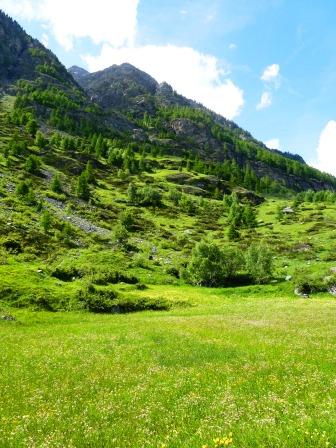 Landschaft in Bayern