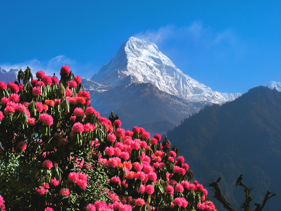 Annapurna Massiv