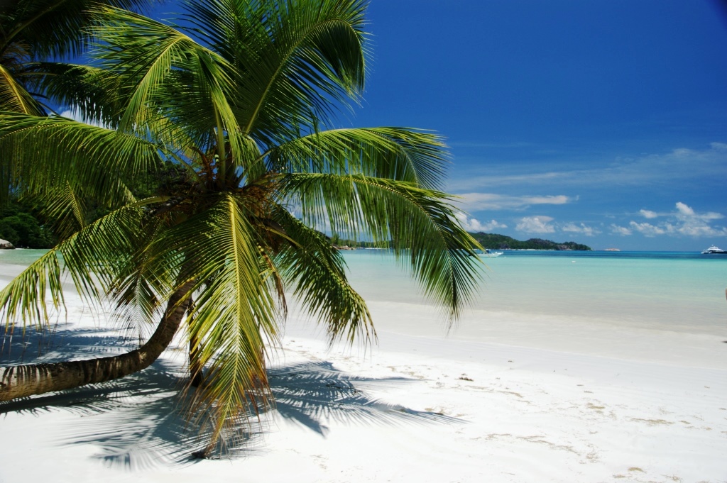 Insel Praslin der Seychellen