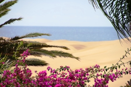 Maspalomas Dünen und Blumen