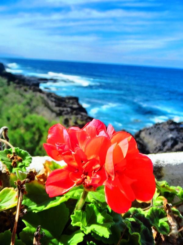 Teneriffa Costa Salada