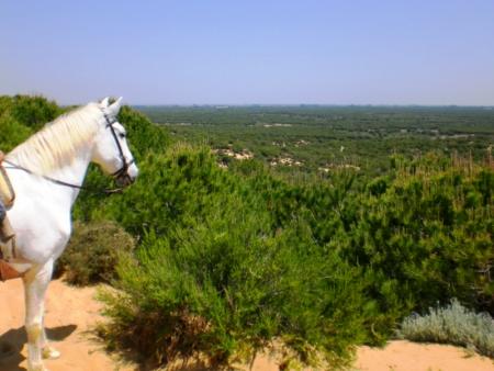 Reitausflug im Nationalpark Coto de Donana